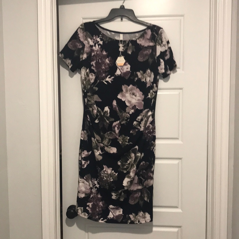 NWT PinkBlush Maternity Dress